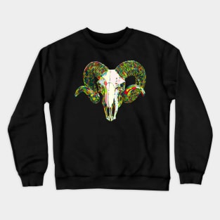 Color Bapho Crewneck Sweatshirt